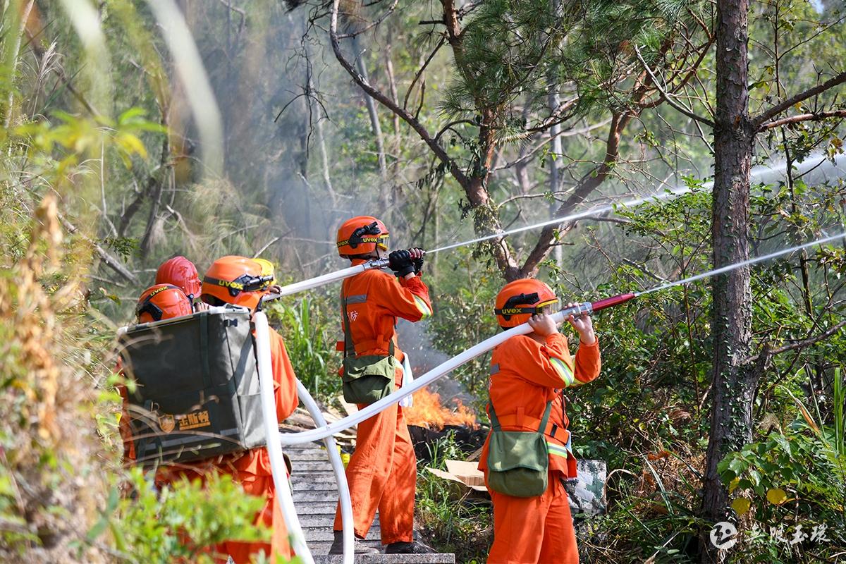 防火与耐火产品的市场前景_